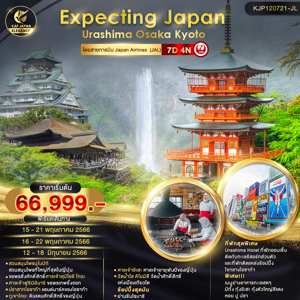 Expecting Japan Urashima Osaka Kyoto